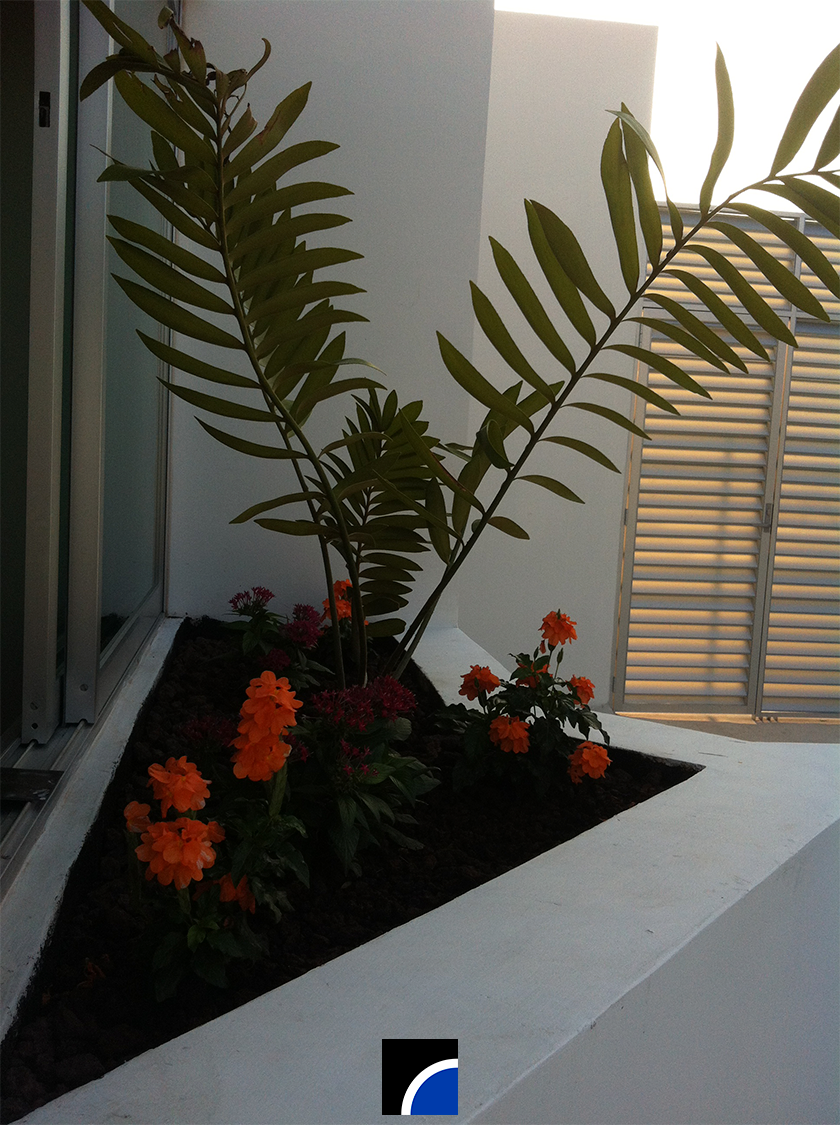 Detalle 1